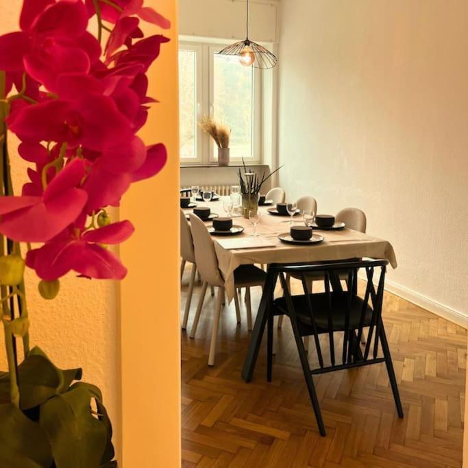 코블렌츠 Gemuetliche Rheinblick Residenz 아파트 외부 사진