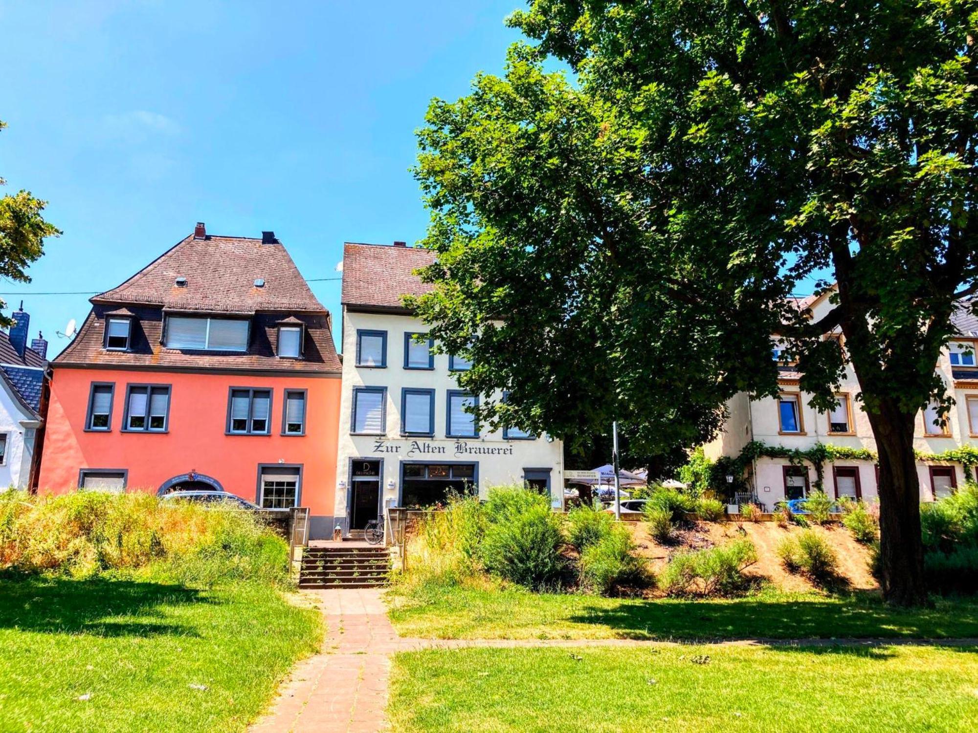 코블렌츠 Gemuetliche Rheinblick Residenz 아파트 외부 사진